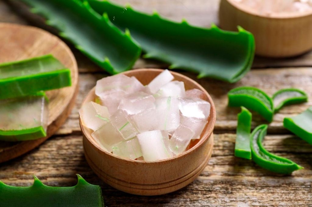 Propiedades Medicinales de la Sábila